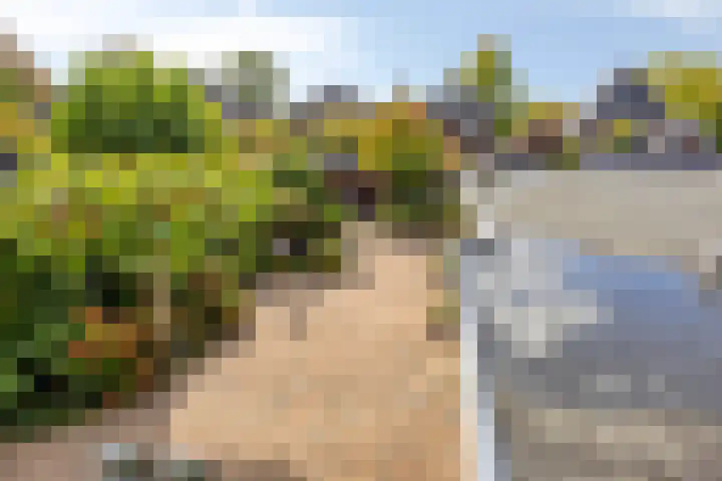 Mettenbrincklaan 6 Barneveld thumbnail 35