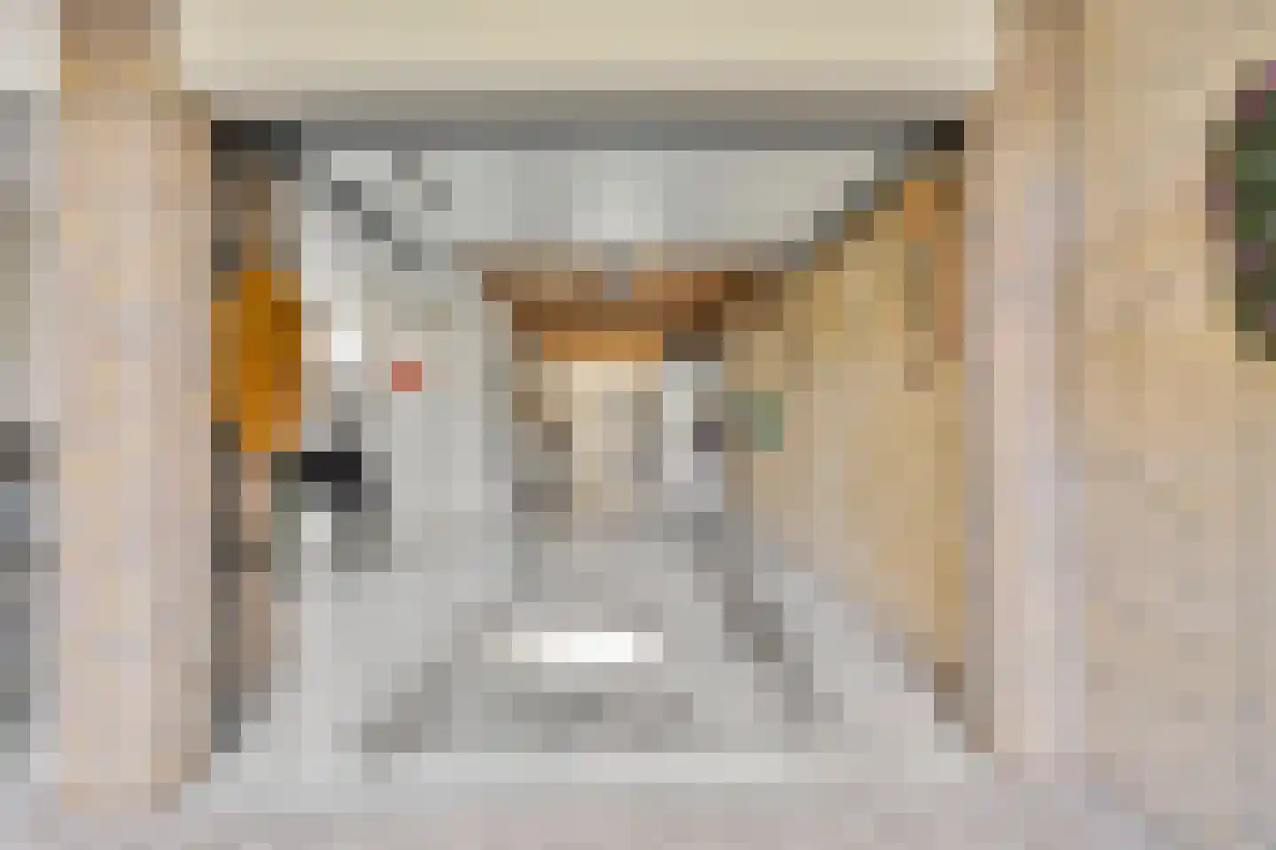 Mettenbrincklaan 6 Barneveld thumbnail 42