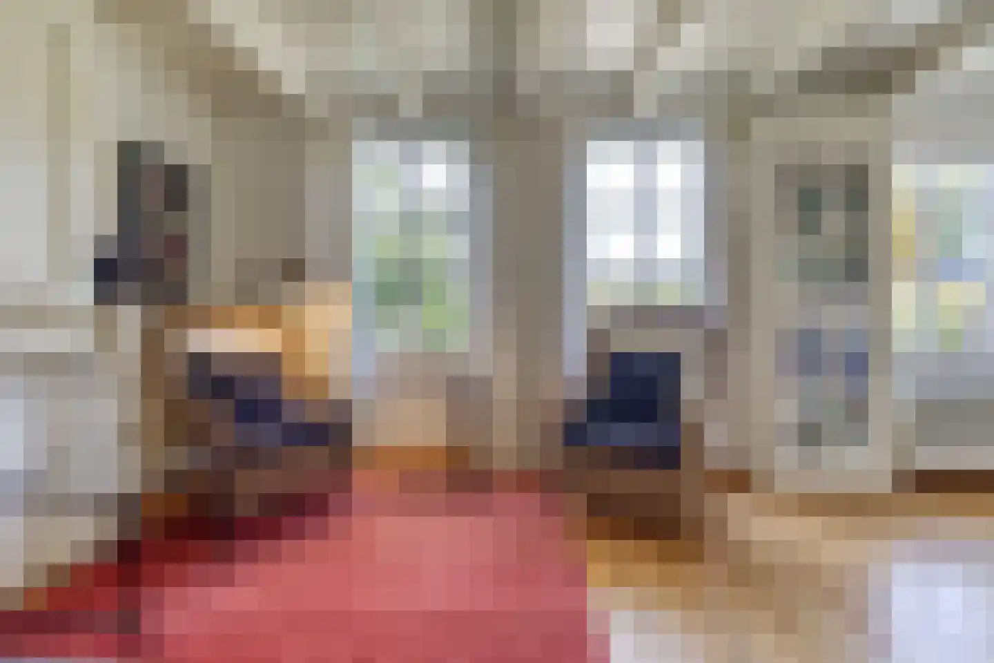 Mettenijedijk 14 Nieuwvliet thumbnail 10