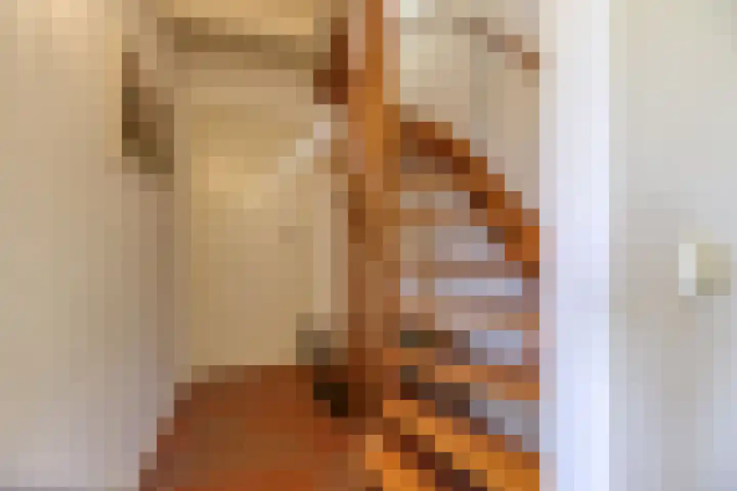 Mettenijedijk 14 Nieuwvliet thumbnail 13