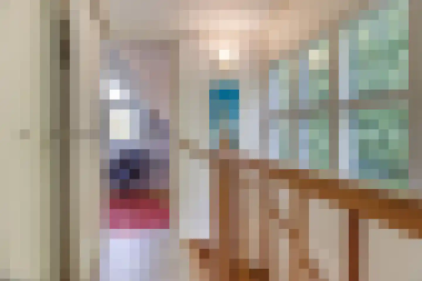 Mettenijedijk 14 Nieuwvliet thumbnail 16