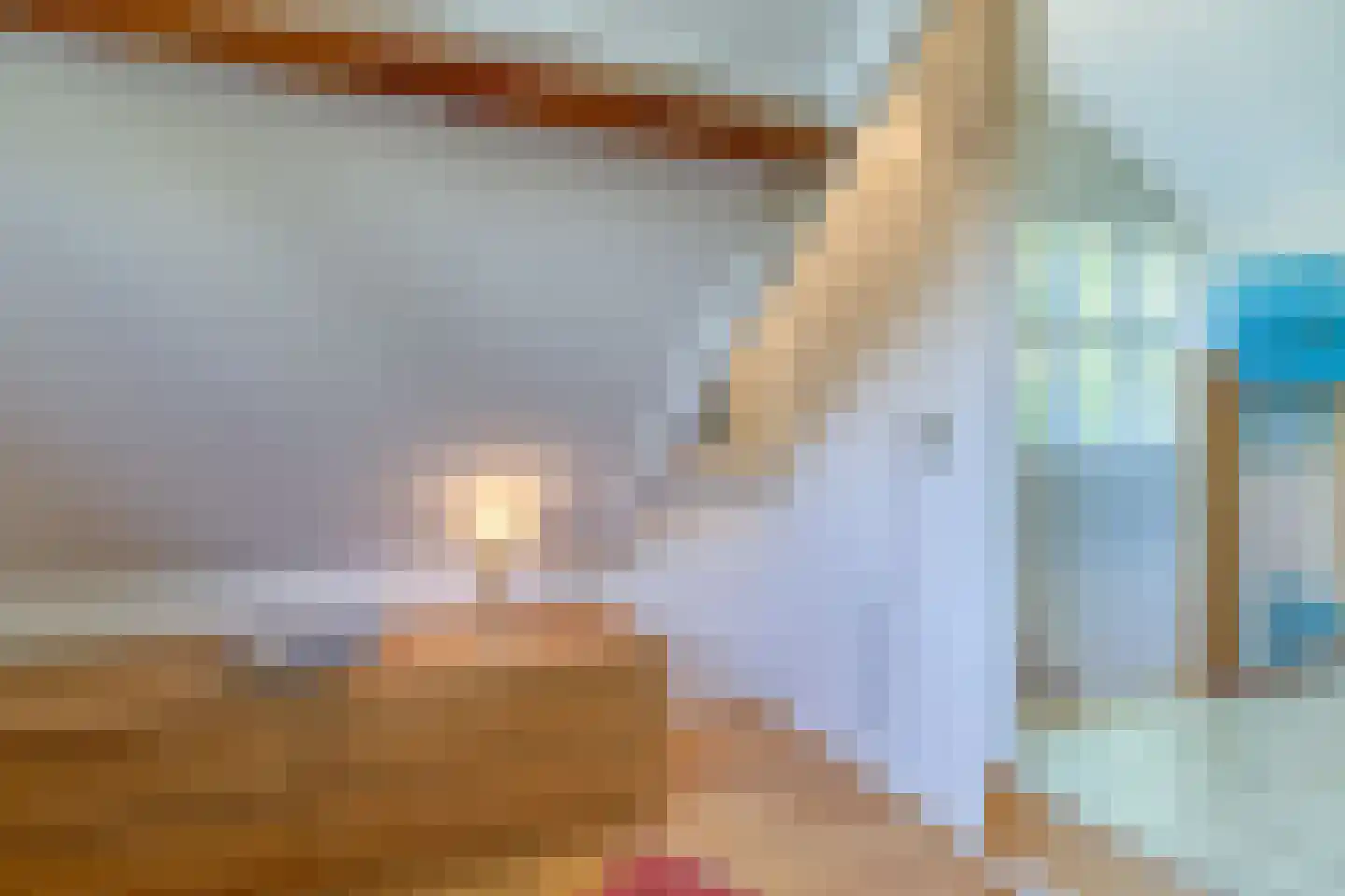 Mettenijedijk 14 Nieuwvliet thumbnail 18