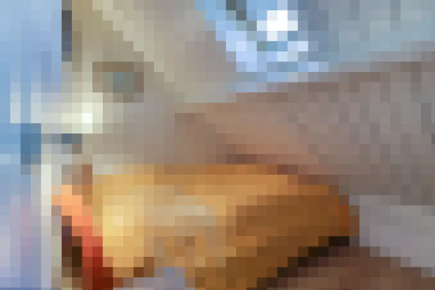 Mettenijedijk 14 Nieuwvliet thumbnail 21