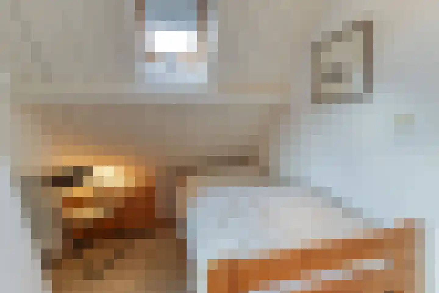 Mettenijedijk 14 Nieuwvliet thumbnail 24