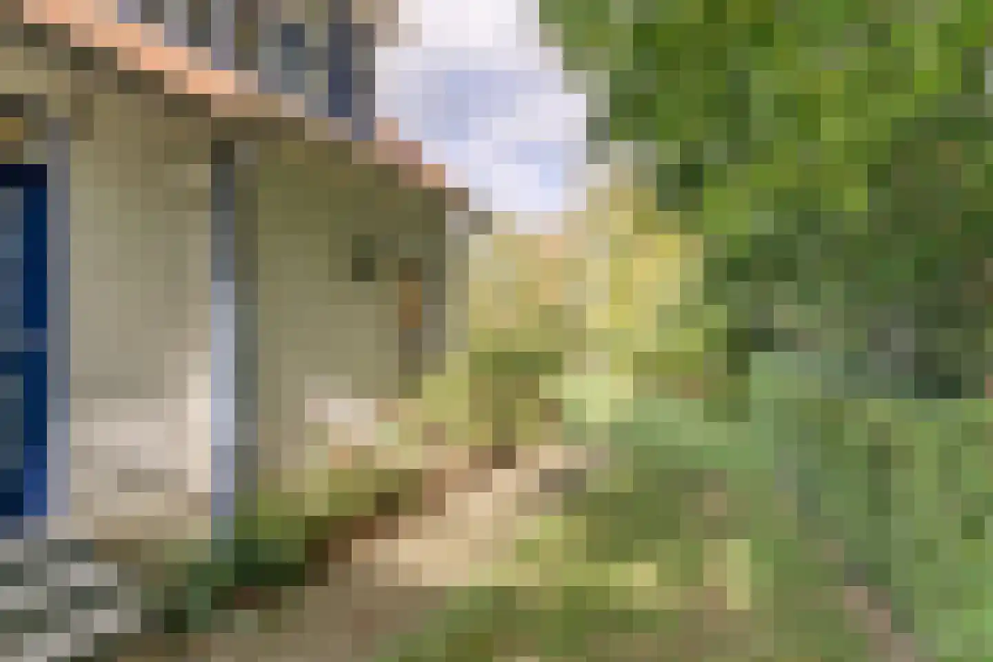 Mettenijedijk 14 Nieuwvliet thumbnail 27