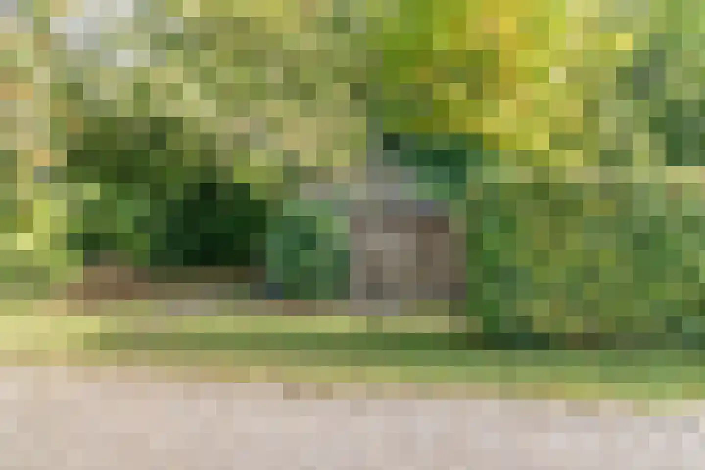 Mettenijedijk 14 Nieuwvliet thumbnail 29