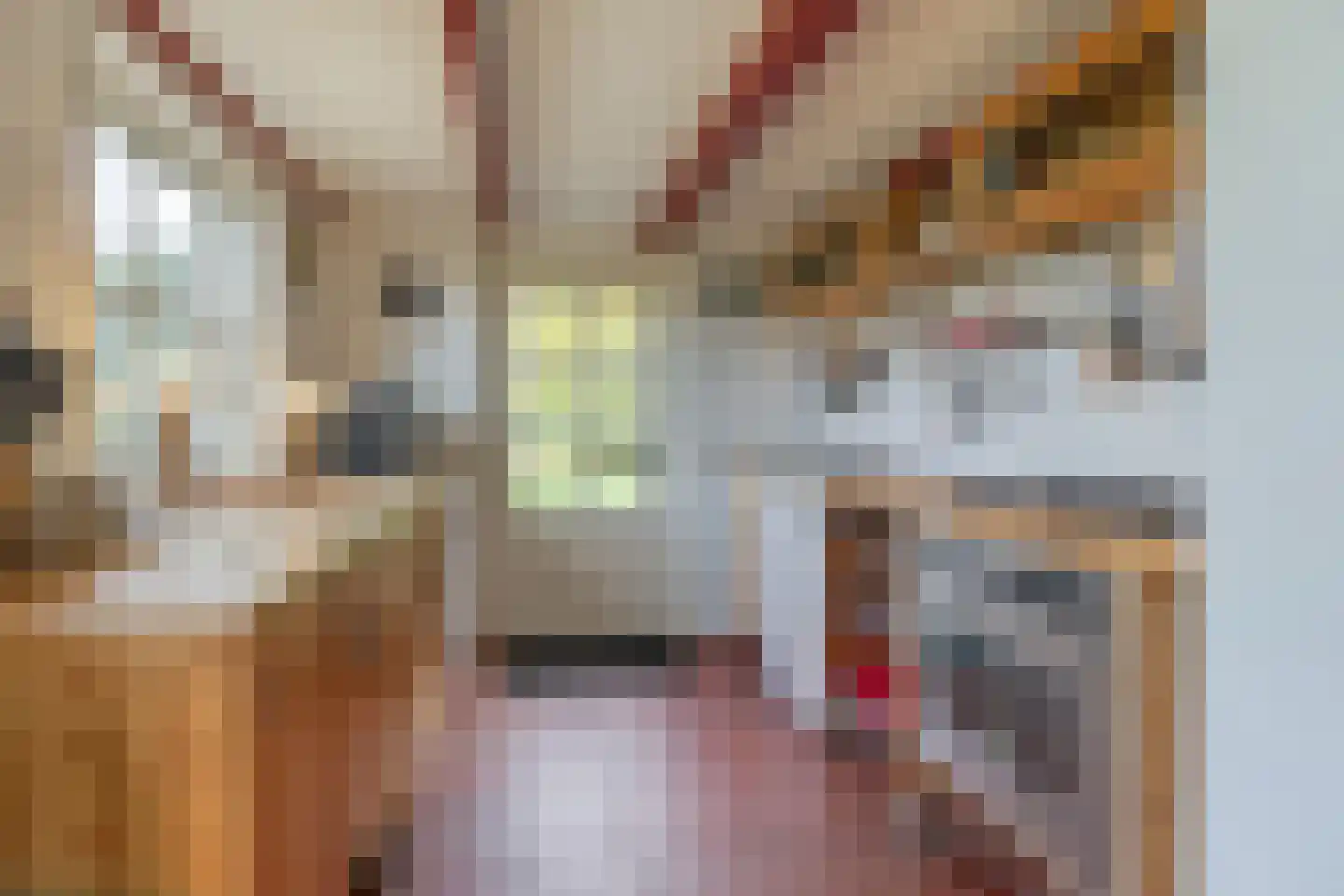 Mettenijedijk 14 Nieuwvliet thumbnail 4