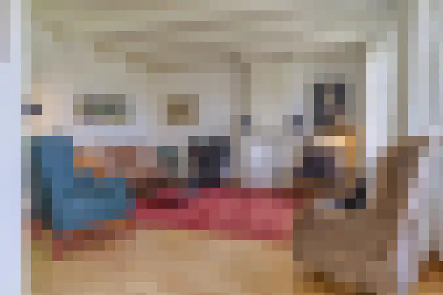Mettenijedijk 14 Nieuwvliet thumbnail 8