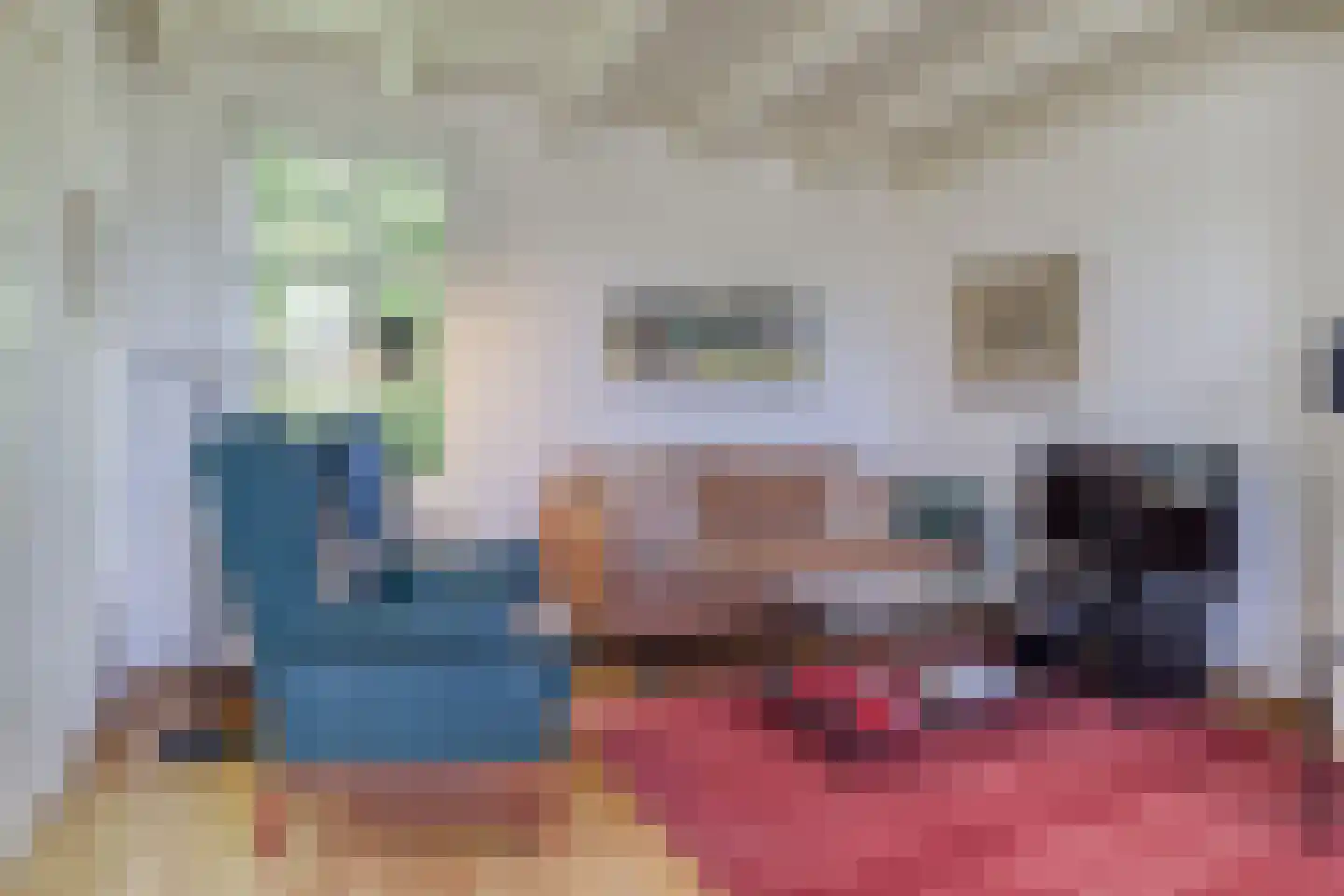Mettenijedijk 14 Nieuwvliet thumbnail 9