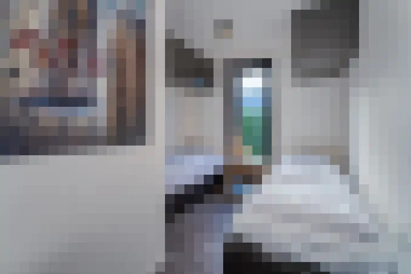 Mettenijedijk 33 074 Nieuwvliet thumbnail 10