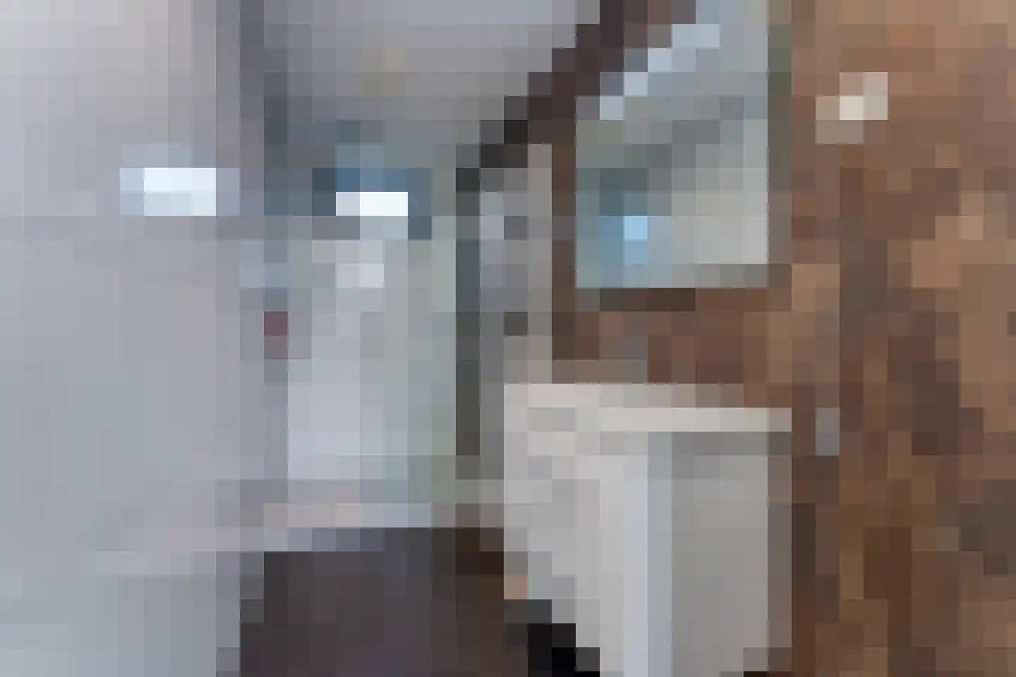 Mettenijedijk 33 074 Nieuwvliet thumbnail 11