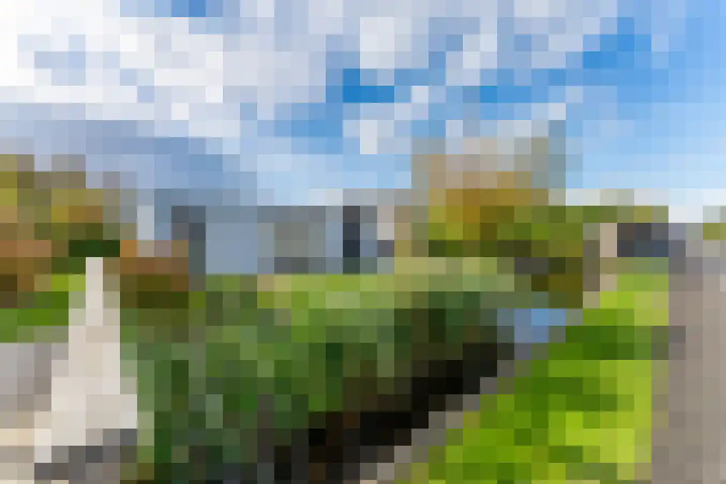 Mettenijedijk 33 074 Nieuwvliet thumbnail 16