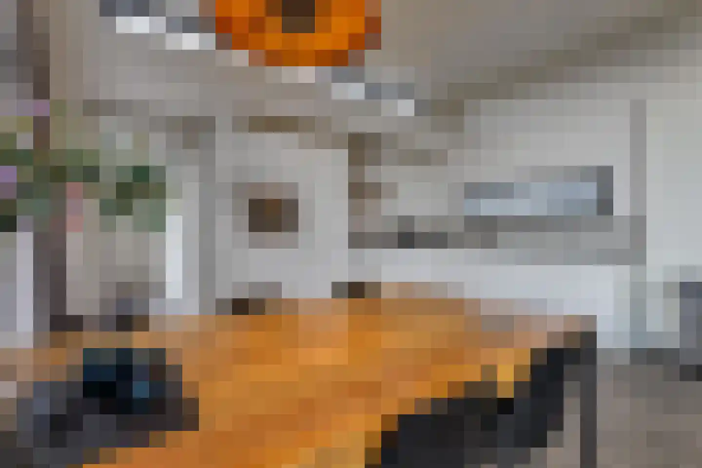 Mettenijedijk 33 074 Nieuwvliet thumbnail 4