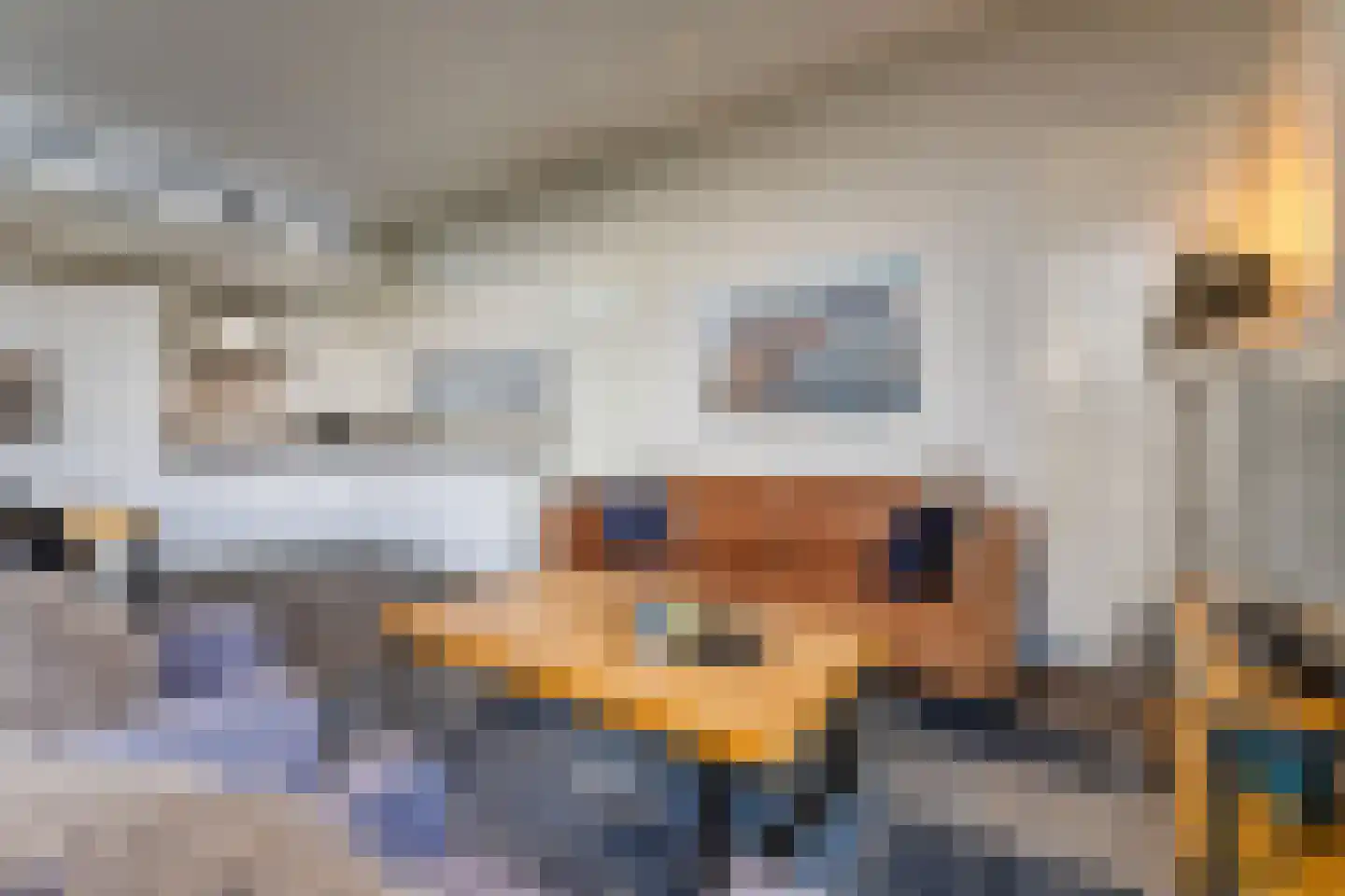 Mettenijedijk 33 074 Nieuwvliet thumbnail 8