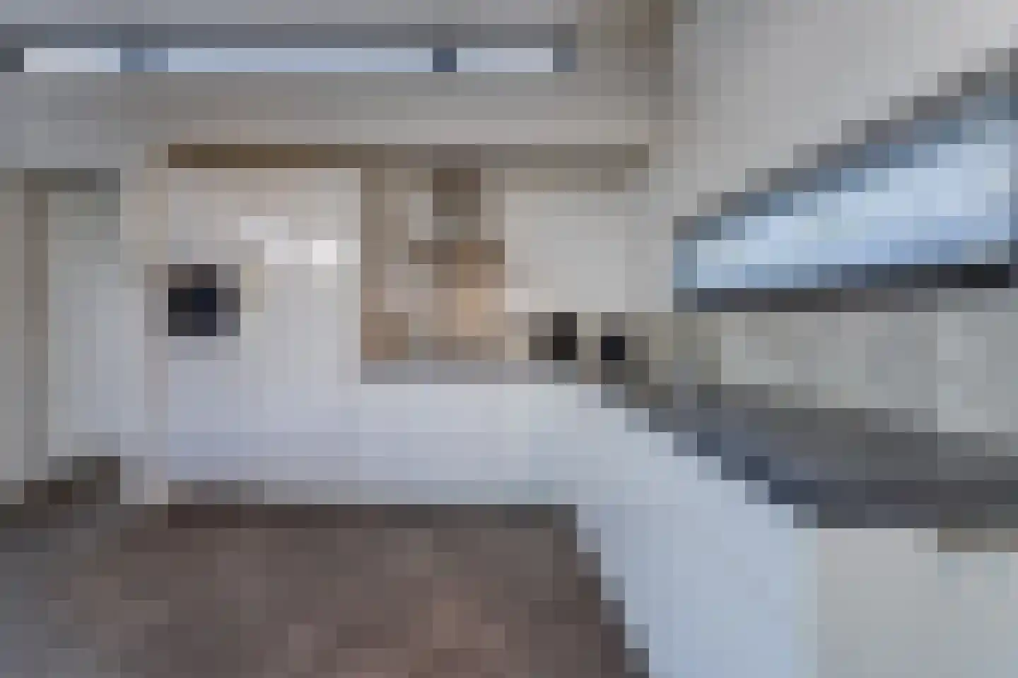 Mettenijedijk 33 074 Nieuwvliet thumbnail 9