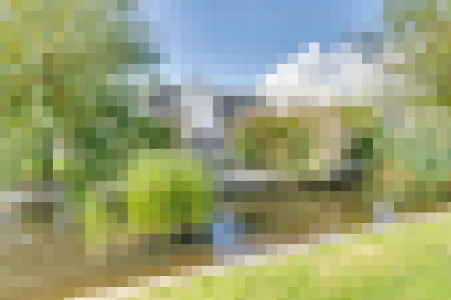 Mettenijedijk 33 076 Nieuwvliet thumbnail 13