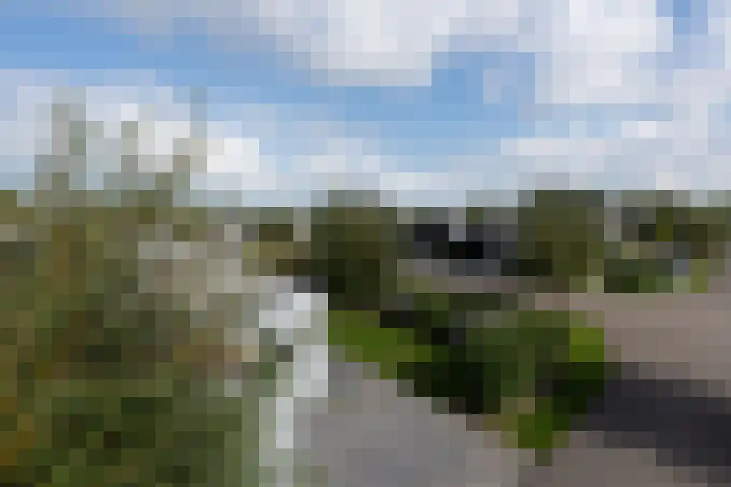 Mettenijedijk 33 076 Nieuwvliet thumbnail 14