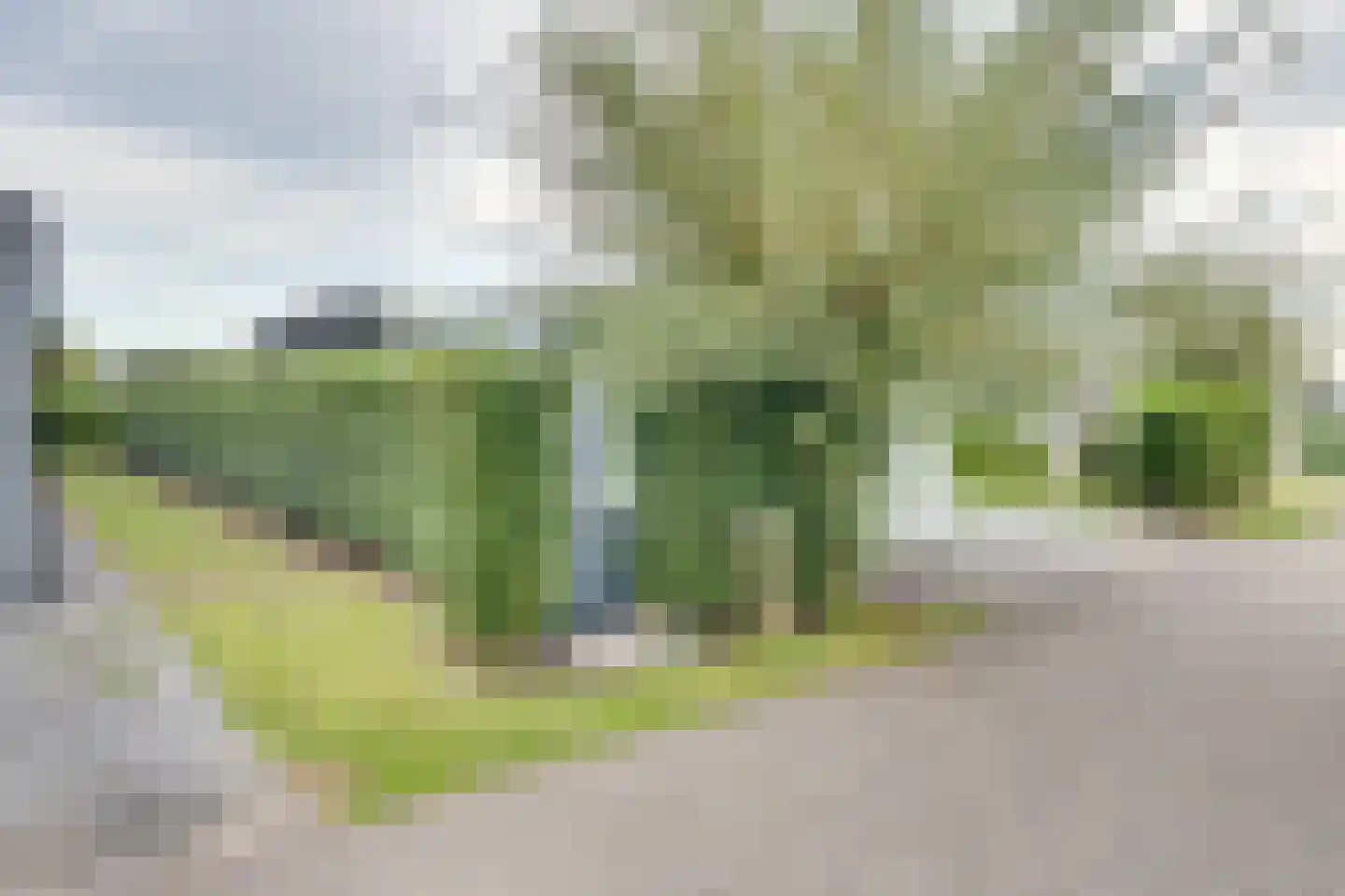 Mettenijedijk 33 076 Nieuwvliet thumbnail 20