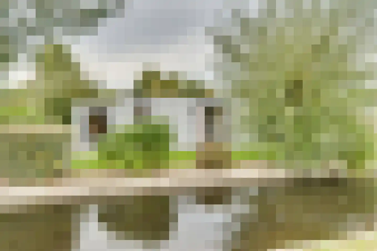 Mettenijedijk 33 076 Nieuwvliet thumbnail 25