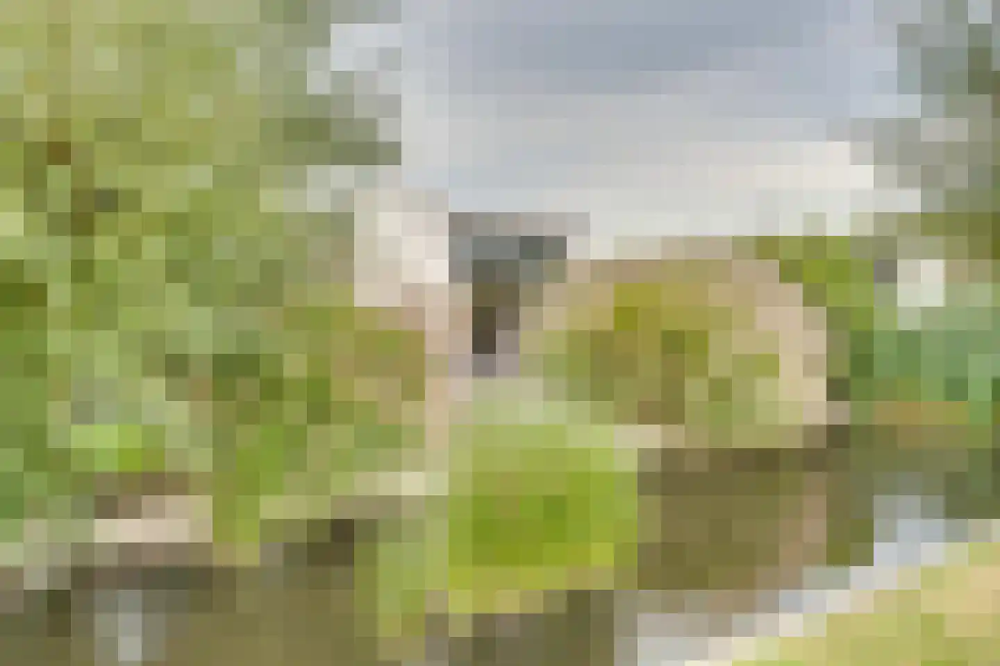 Mettenijedijk 33 076 Nieuwvliet thumbnail 26
