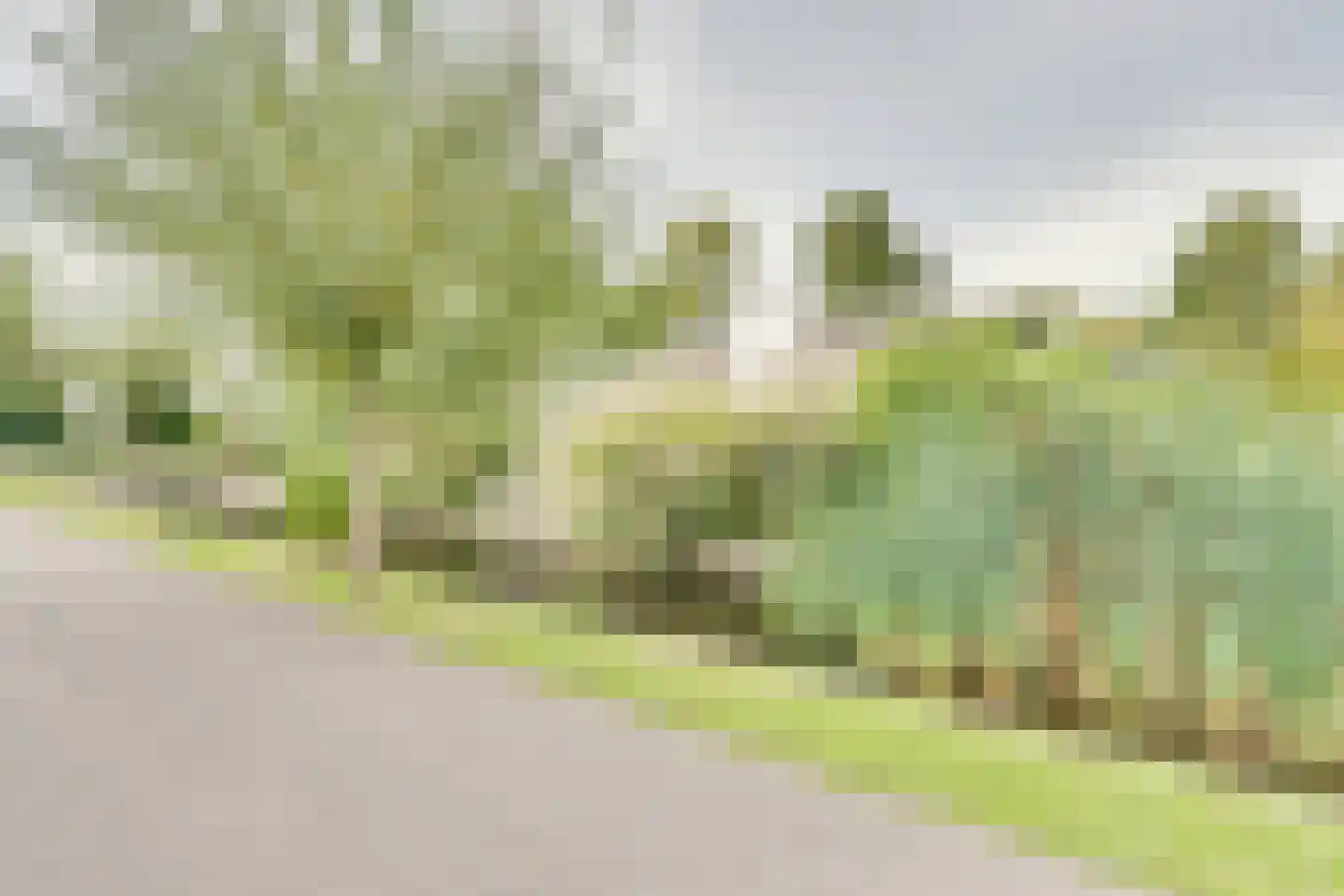 Mettenijedijk 33 076 Nieuwvliet thumbnail 27