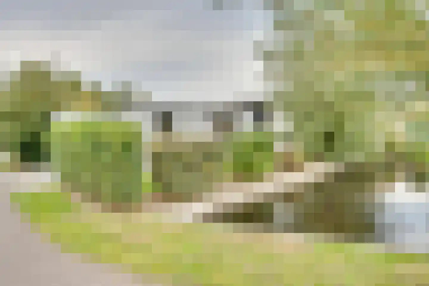 Mettenijedijk 33 076 Nieuwvliet thumbnail 29