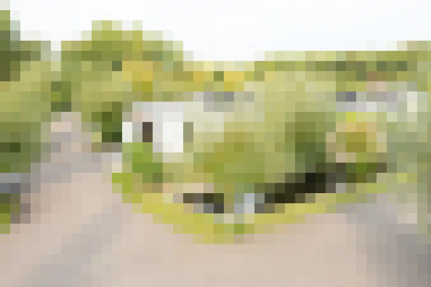 Mettenijedijk 33 076 Nieuwvliet thumbnail 32