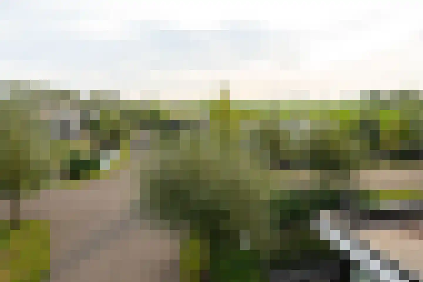 Mettenijedijk 33 076 Nieuwvliet thumbnail 34