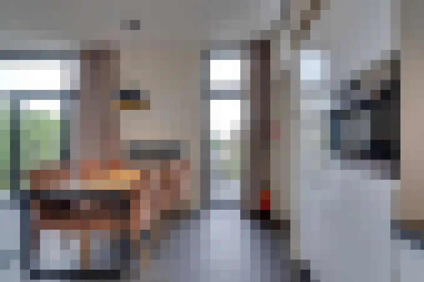 Mettenijedijk 33 076 Nieuwvliet thumbnail 41