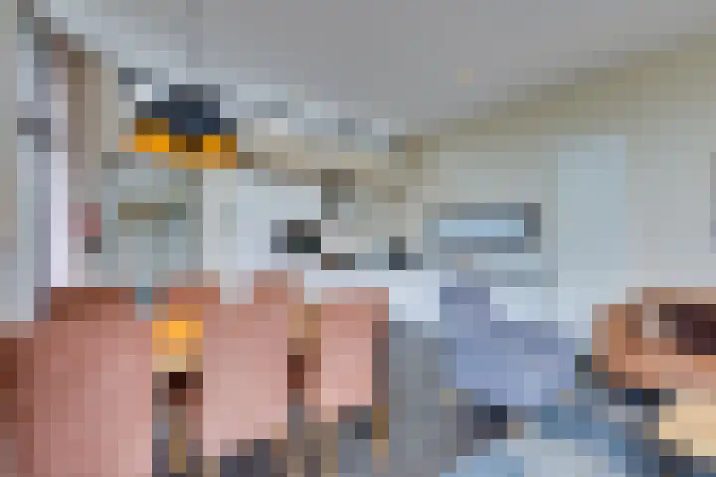 Mettenijedijk 33 076 Nieuwvliet thumbnail 43