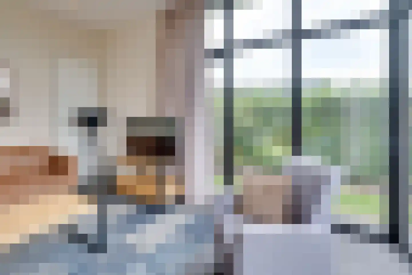 Mettenijedijk 33 076 Nieuwvliet thumbnail 45