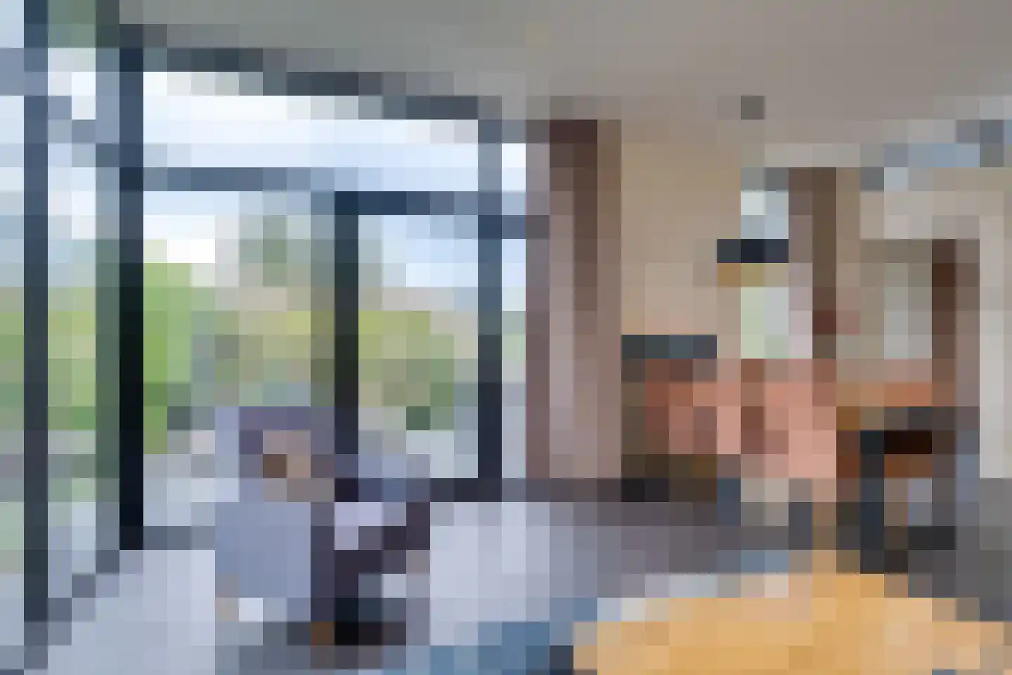 Mettenijedijk 33 076 Nieuwvliet thumbnail 46