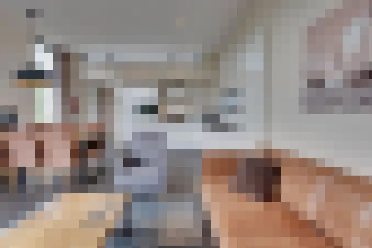 Mettenijedijk 33 076 Nieuwvliet thumbnail 47