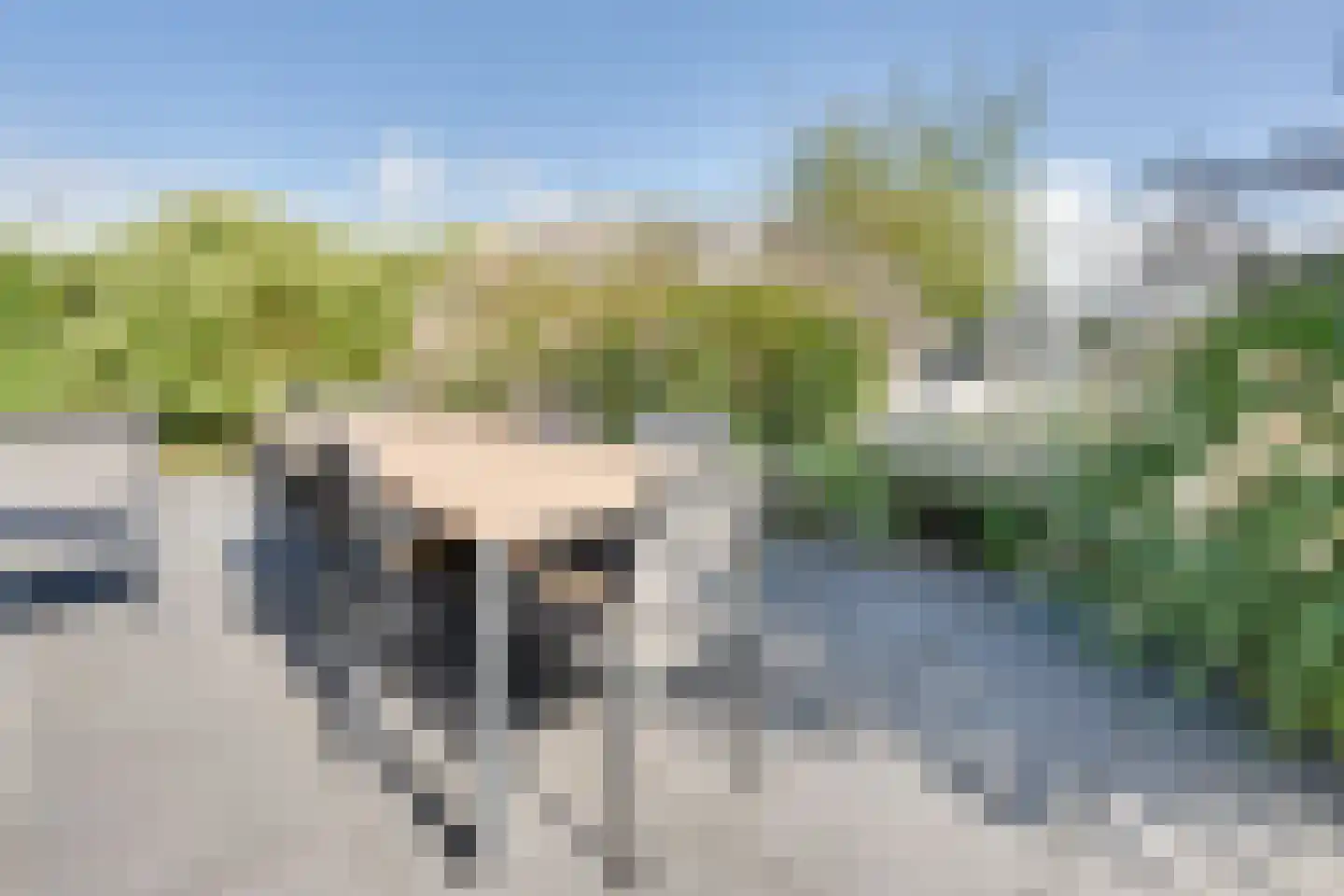Mettenijedijk 33 076 Nieuwvliet thumbnail 5