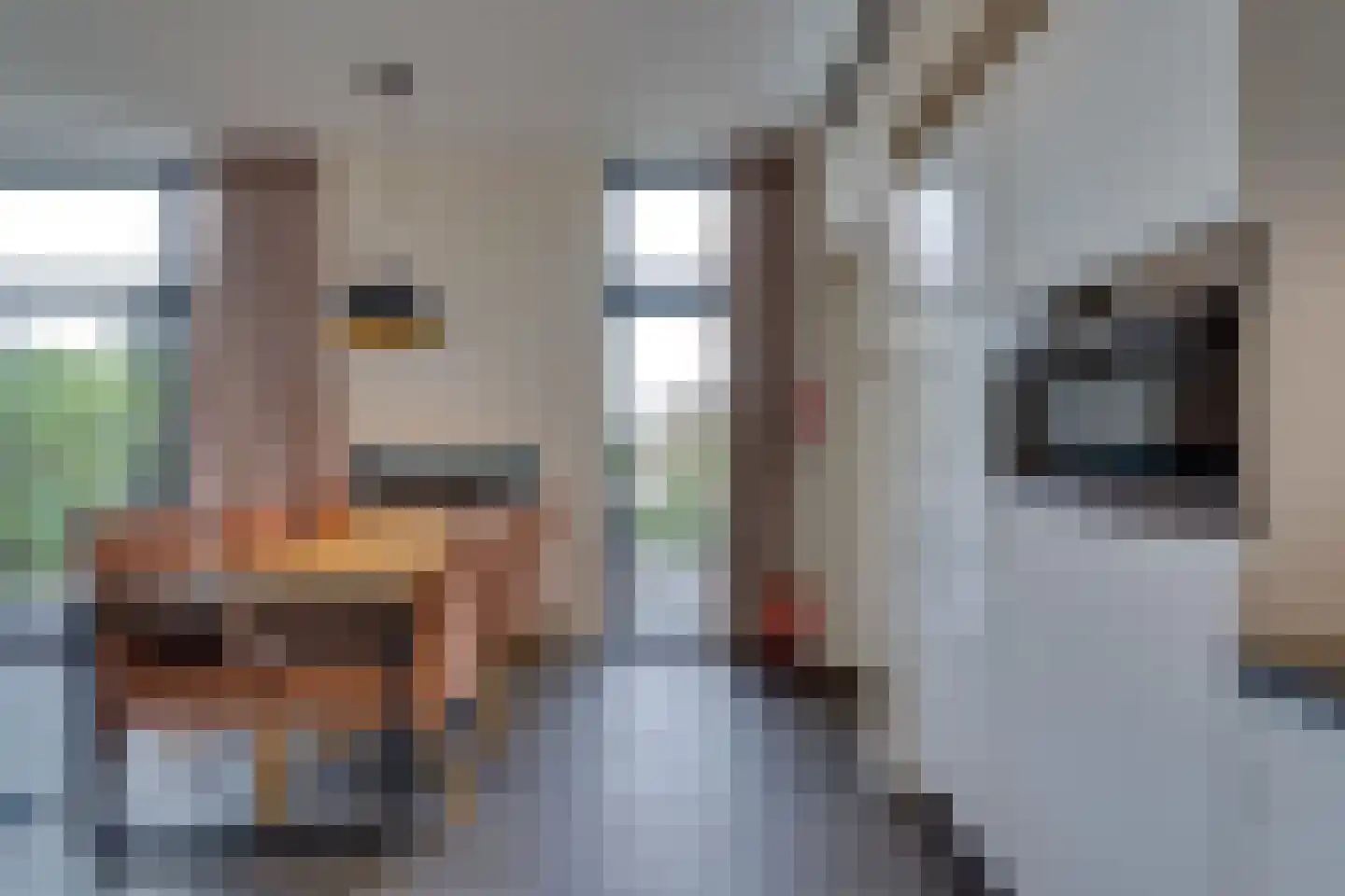 Mettenijedijk 33 076 Nieuwvliet thumbnail 51