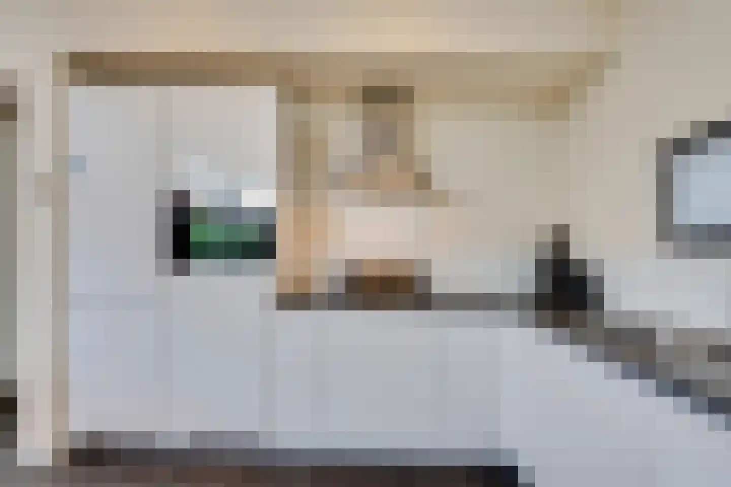 Mettenijedijk 33 076 Nieuwvliet thumbnail 52