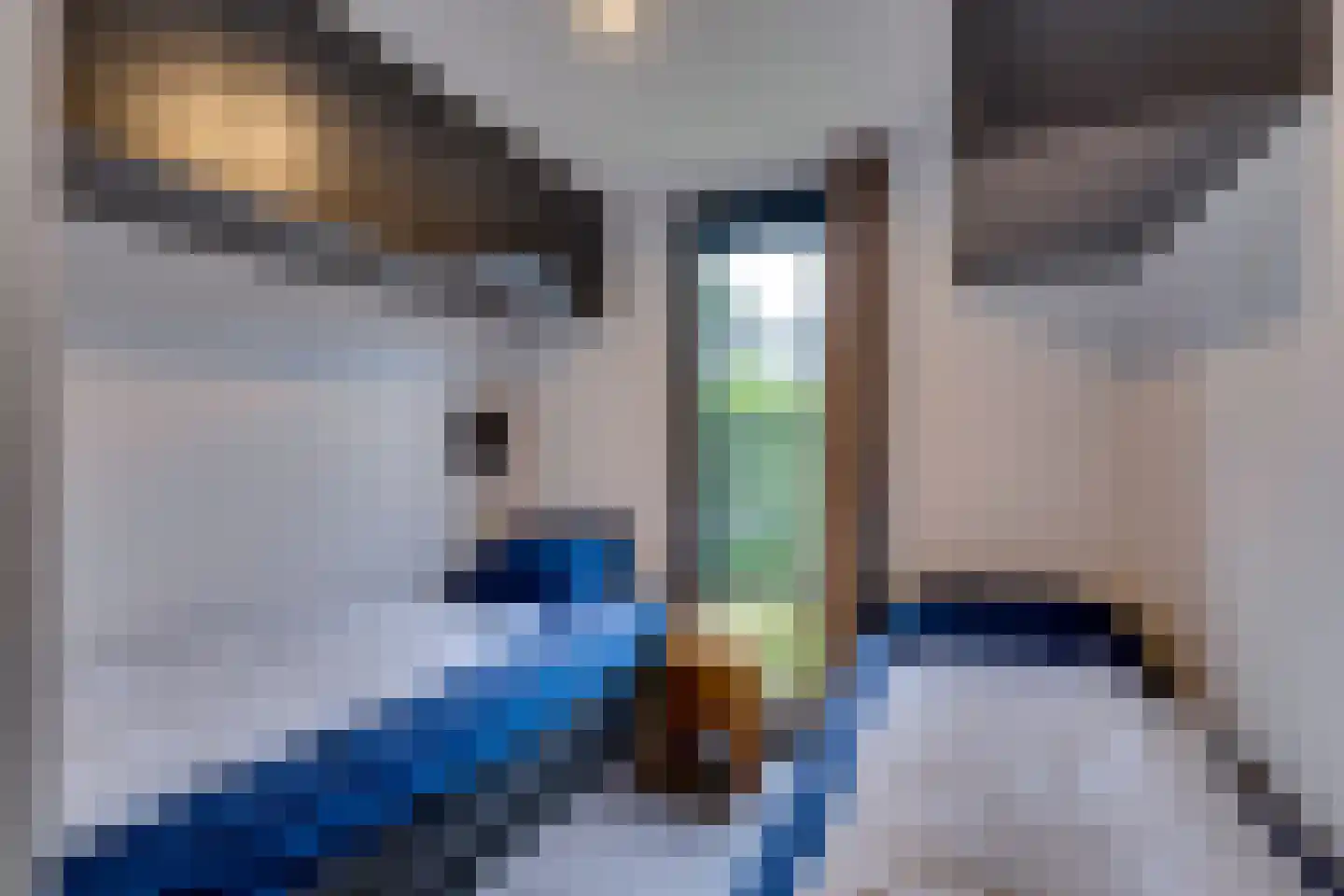 Mettenijedijk 33 076 Nieuwvliet thumbnail 58