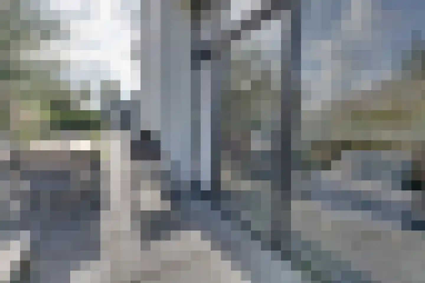 Mettenijedijk 33 076 Nieuwvliet thumbnail 6