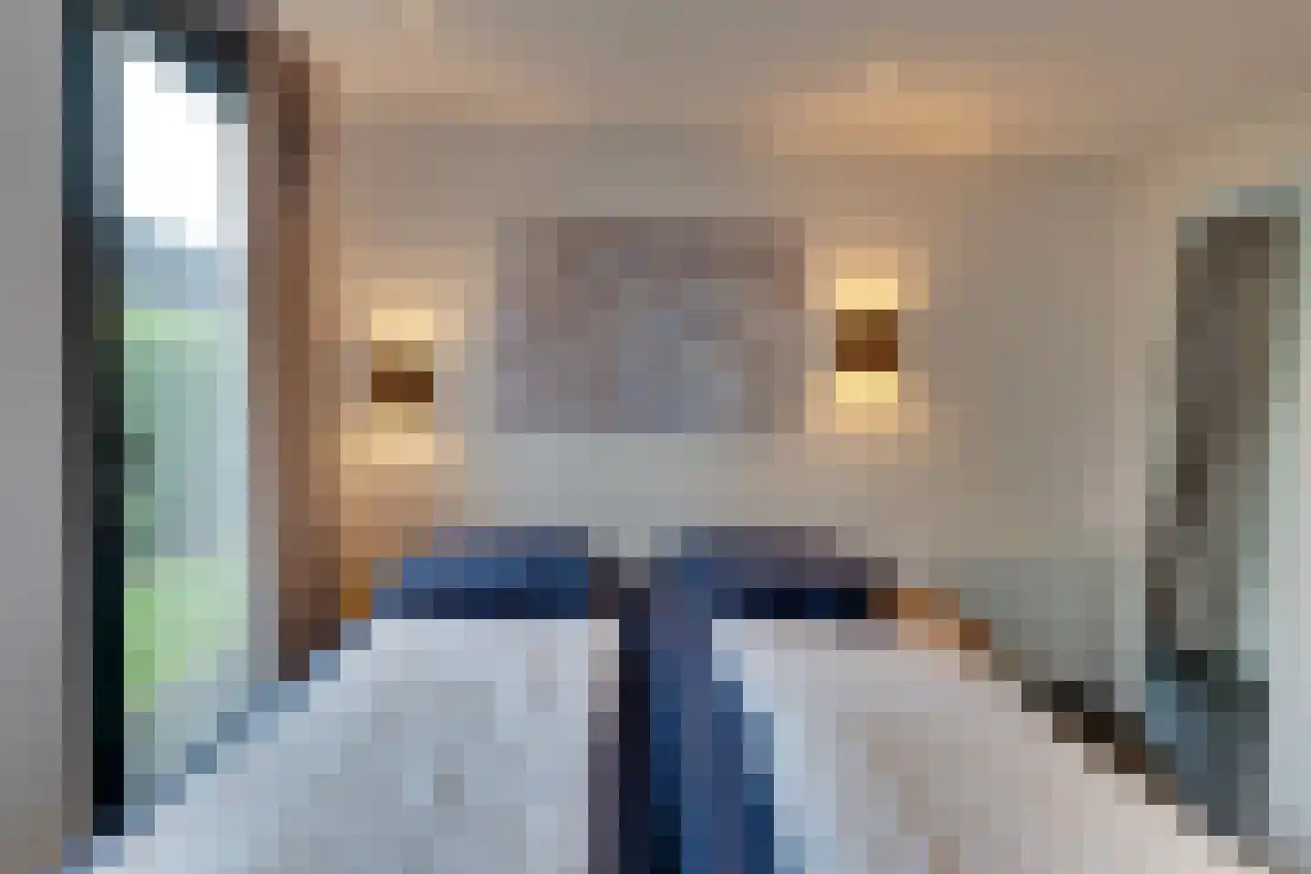 Mettenijedijk 33 076 Nieuwvliet thumbnail 65