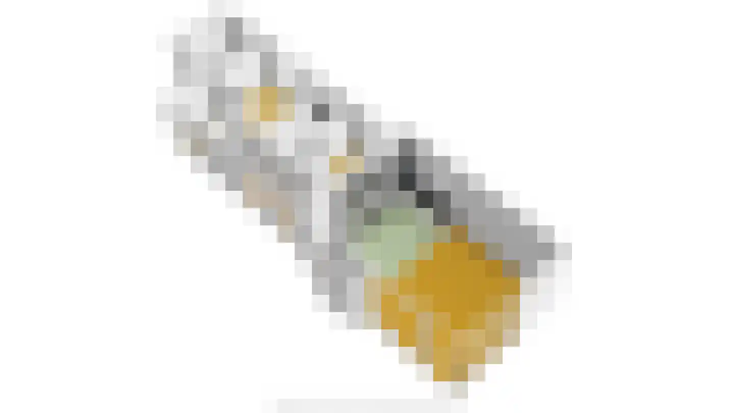Mettenijedijk 33 076 Nieuwvliet thumbnail 66