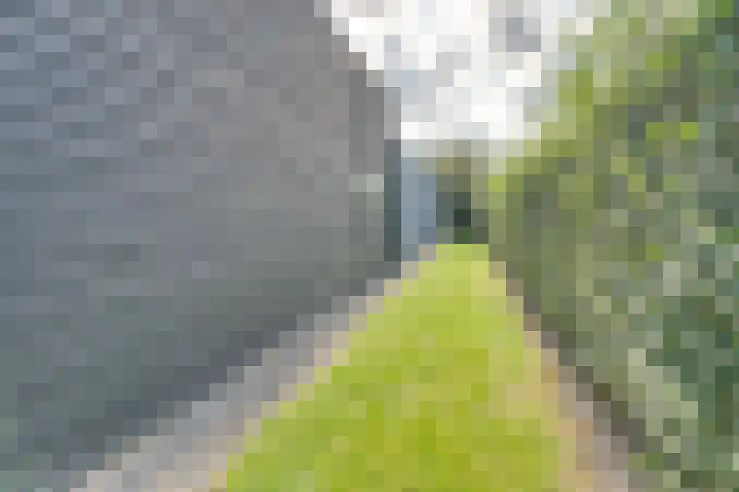 Mettenijedijk 33 076 Nieuwvliet thumbnail 7