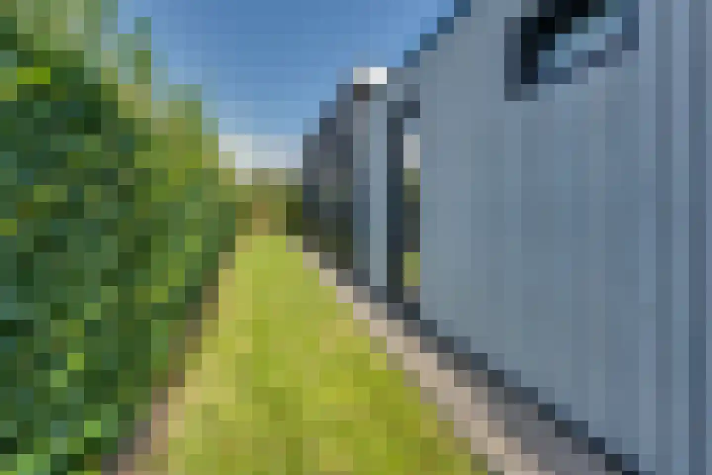 Mettenijedijk 33 076 Nieuwvliet thumbnail 8