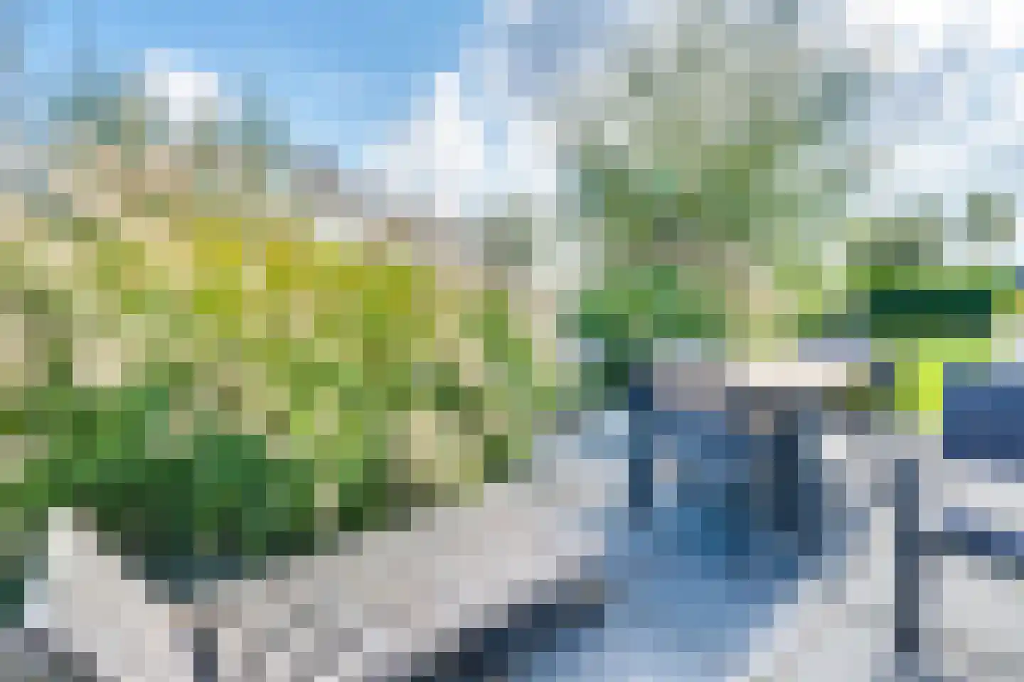 Mettenijedijk 33 076 Nieuwvliet thumbnail 9