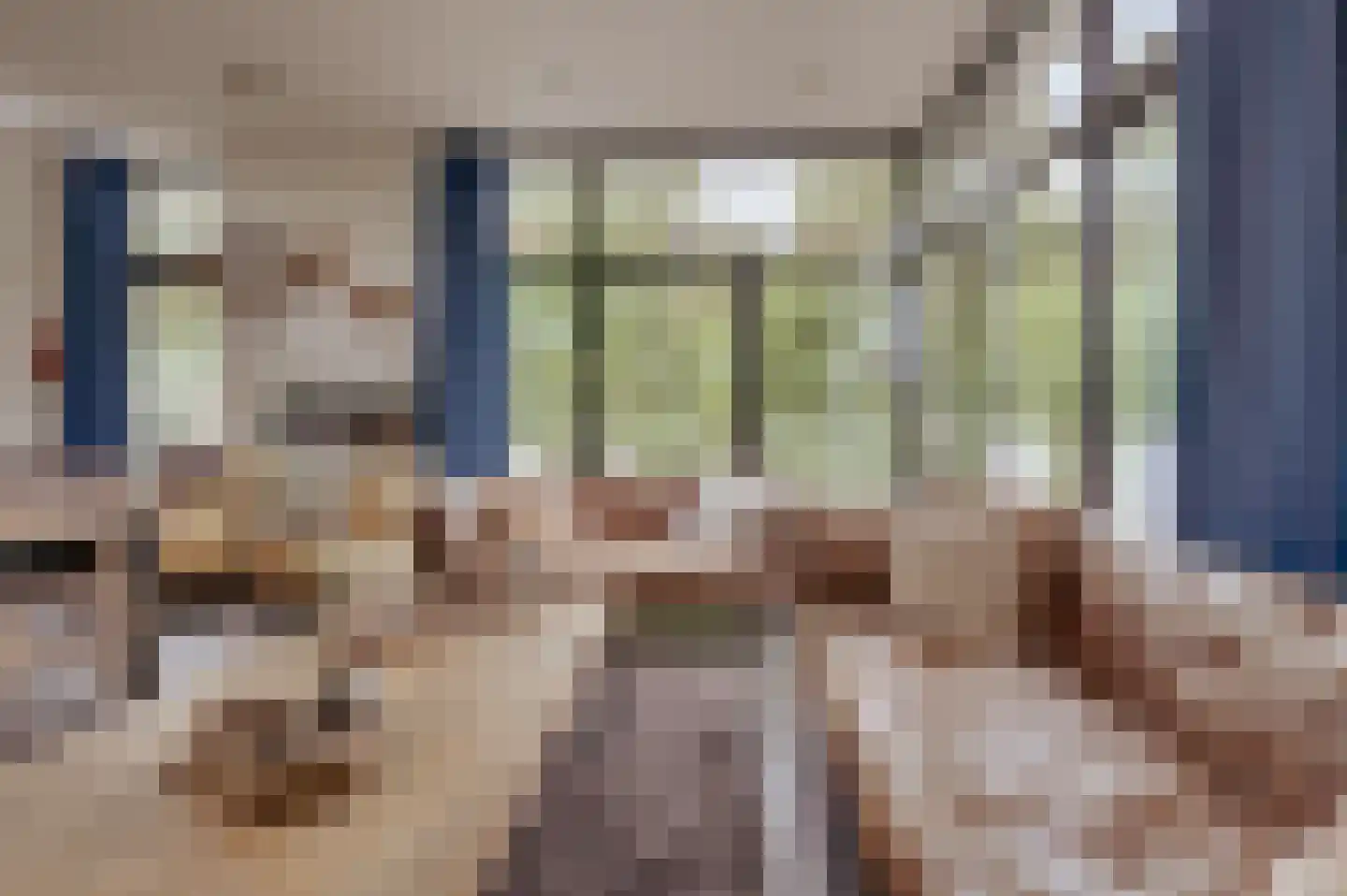 Mettenijedijk 33 085 Nieuwvliet thumbnail 10