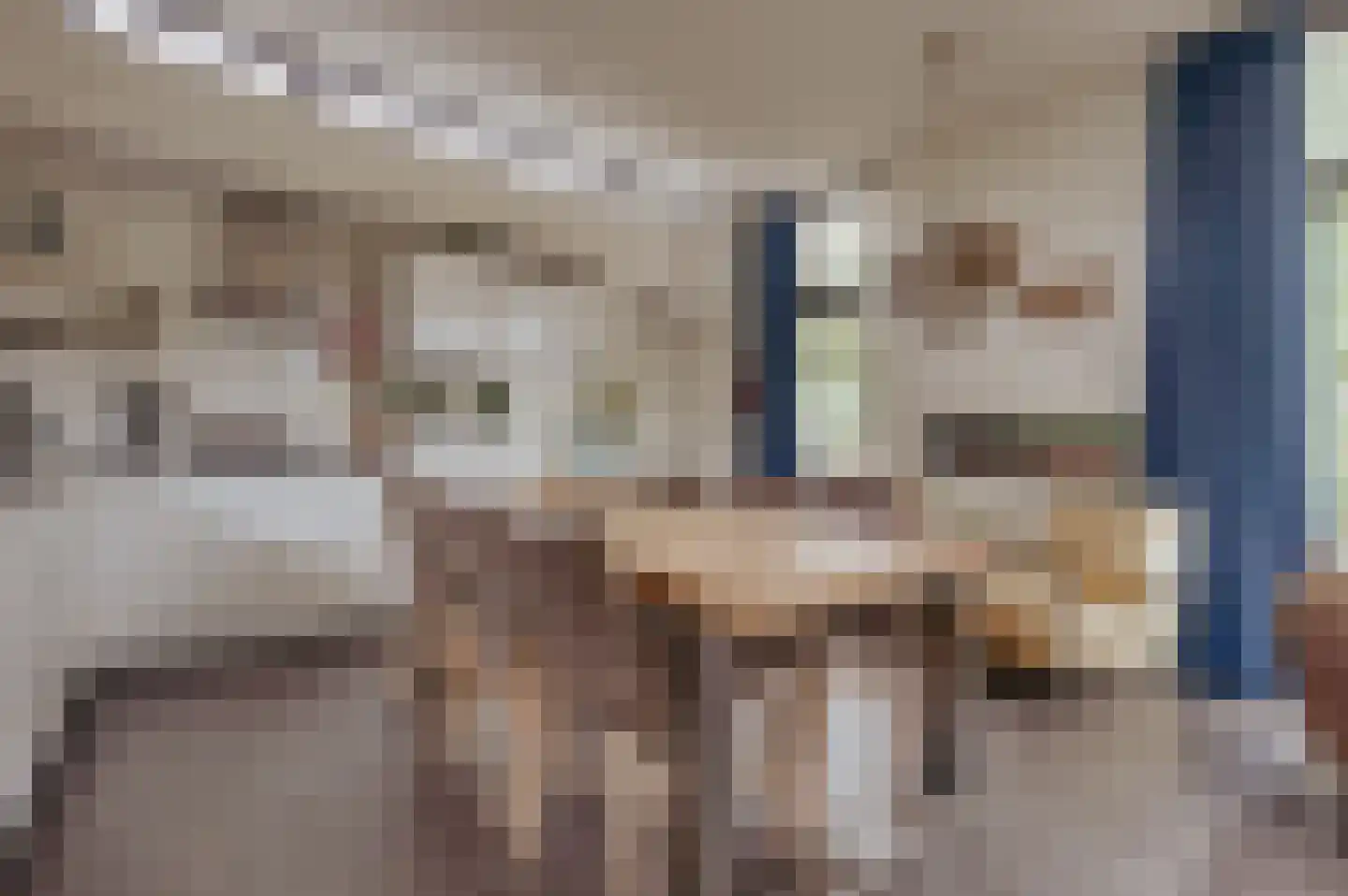 Mettenijedijk 33 085 Nieuwvliet thumbnail 11