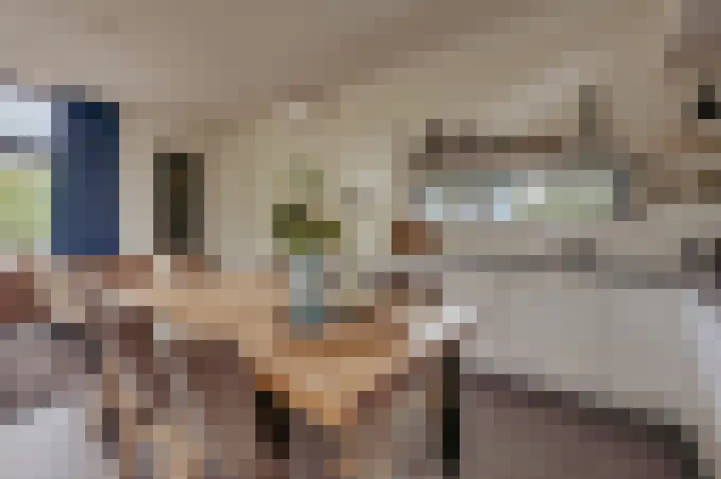 Mettenijedijk 33 085 Nieuwvliet thumbnail 13
