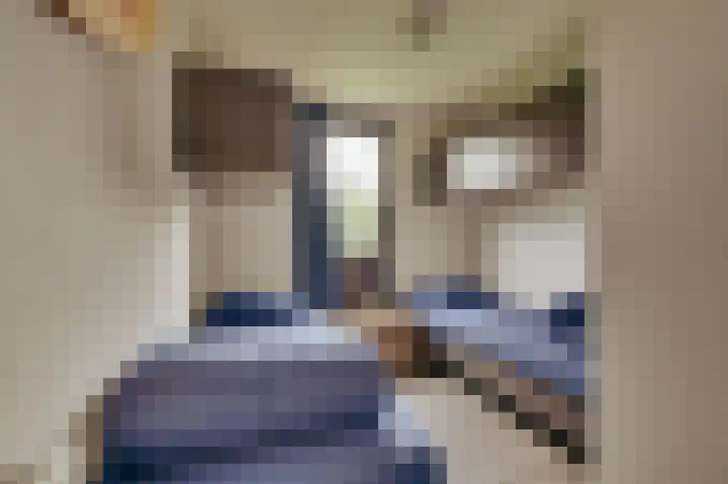 Mettenijedijk 33 085 Nieuwvliet thumbnail 17