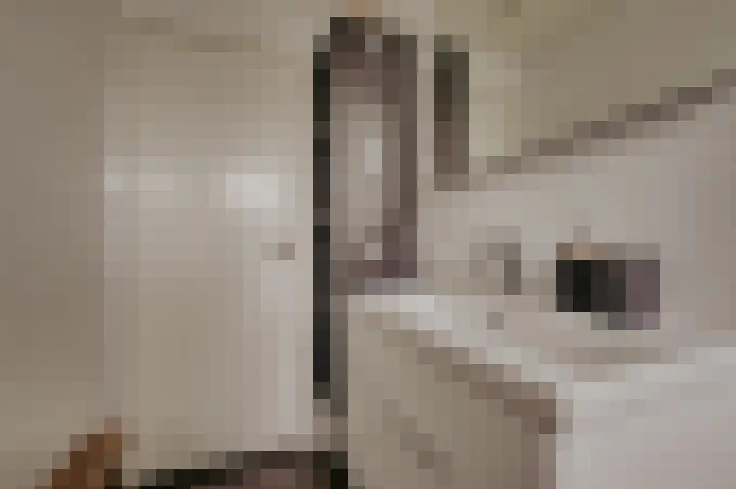 Mettenijedijk 33 085 Nieuwvliet thumbnail 20