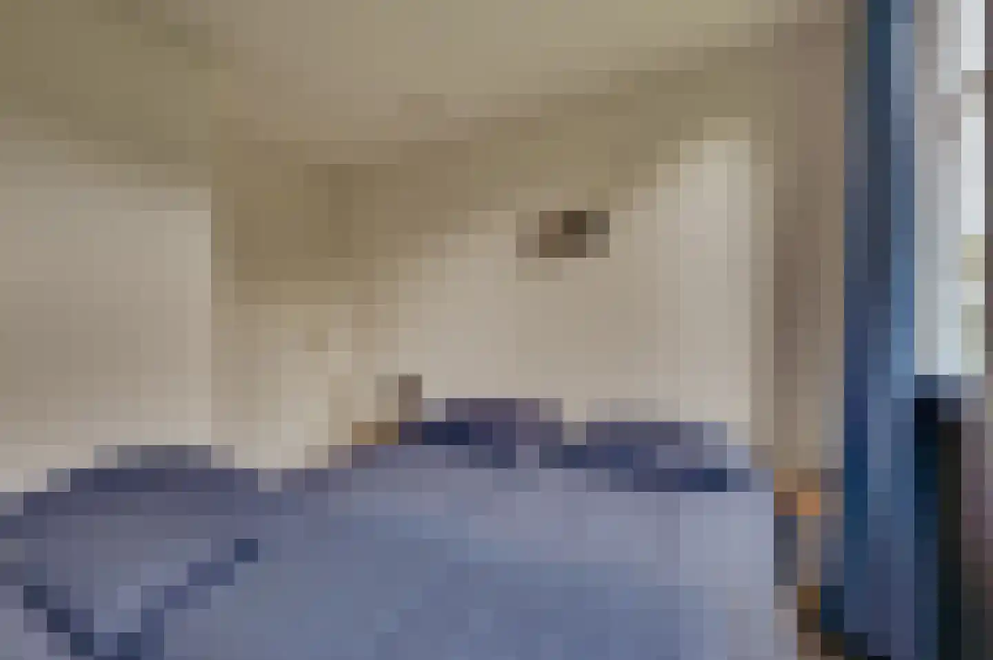 Mettenijedijk 33 085 Nieuwvliet thumbnail 22
