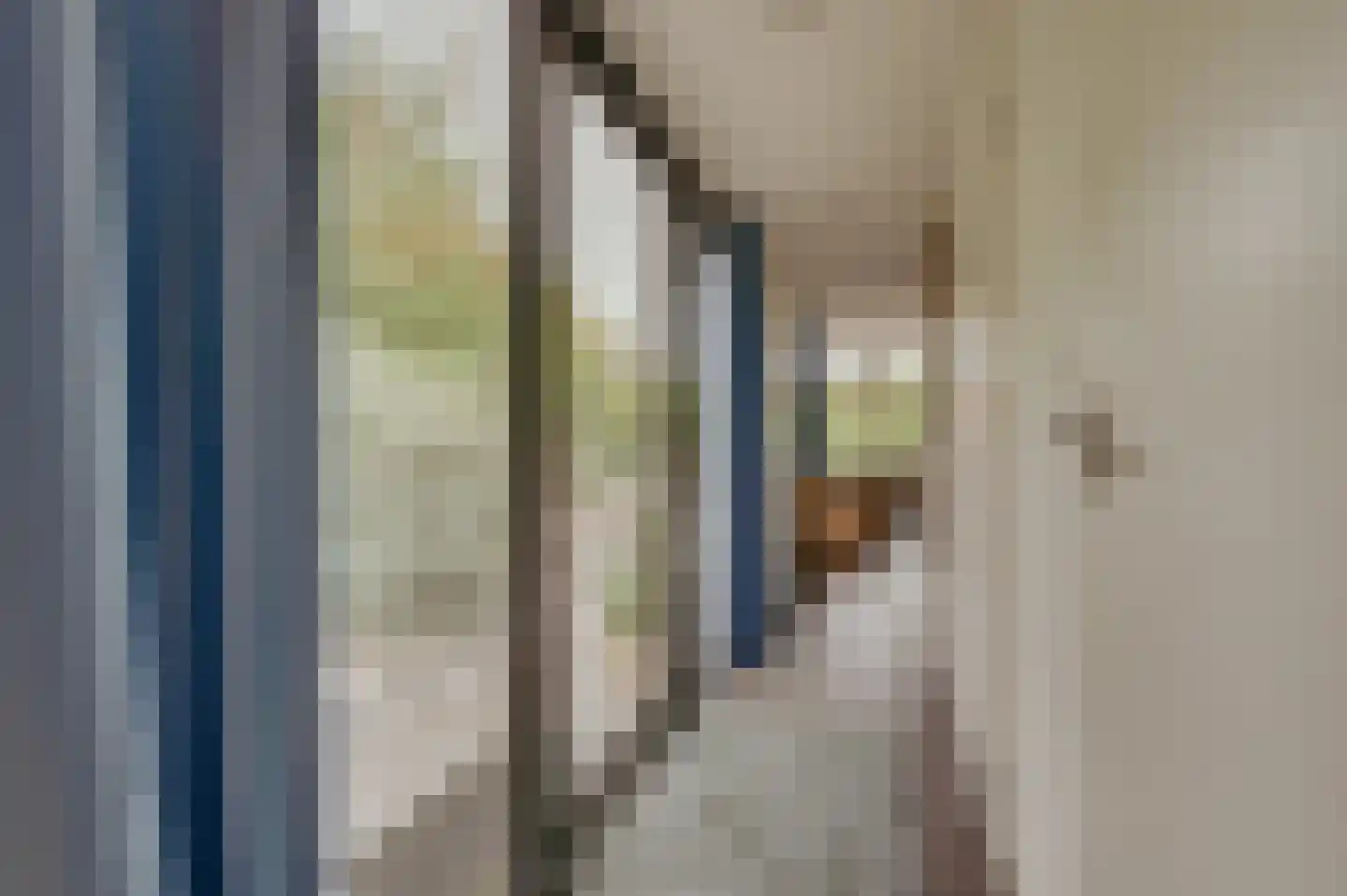 Mettenijedijk 33 085 Nieuwvliet thumbnail 24